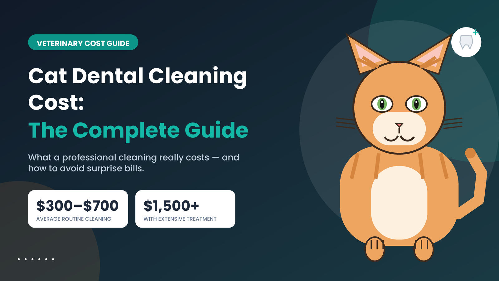 Cat Dental Cleaning Cost: 2026 Complete Price Guide & Easy Ways to Save